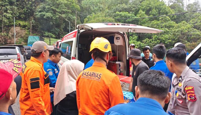 Kecelakaan Kelok 9 Limapuluh Kota: Mobil Masuk Jurang, Tim SAR Evakuasi 7 Korban Selamat